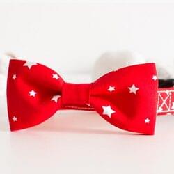 Red collar with stars