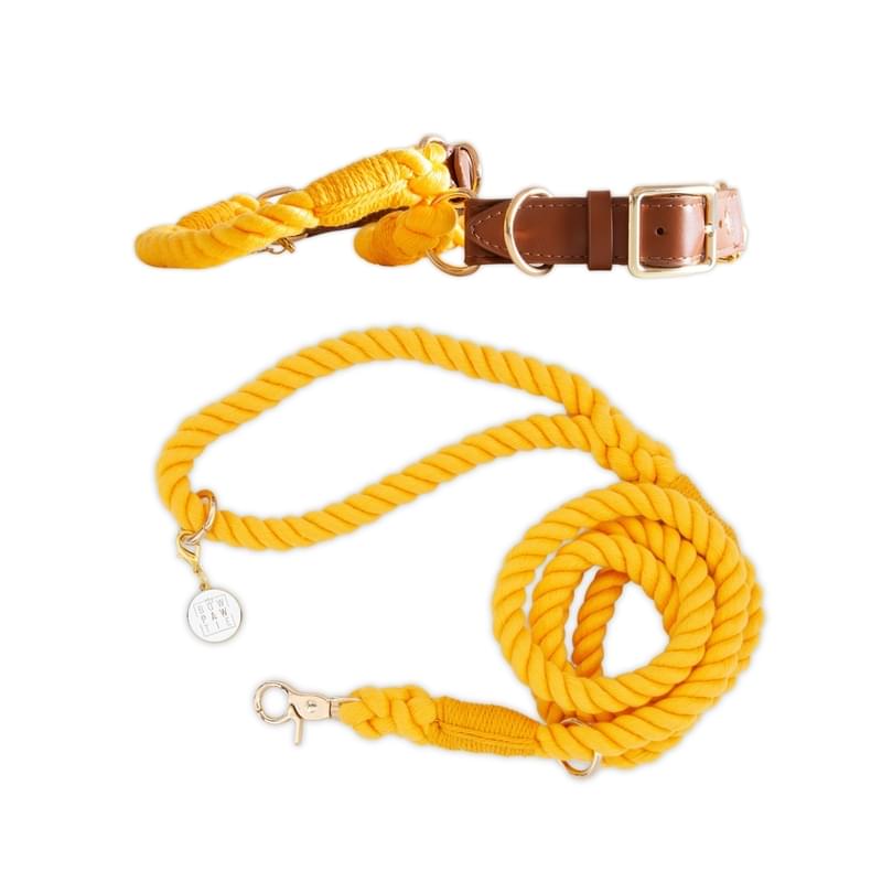 Adjustable Rope Collar and Leash Set Star Fruit